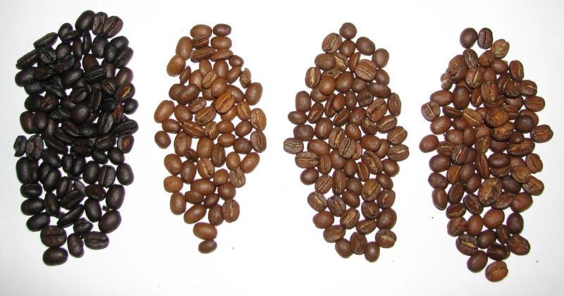 Экзотические и редкие разновидности кофейных зерен